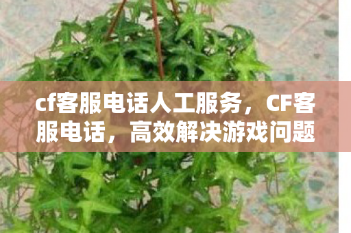 cf客服电话人工服务,CF客服电话,高效解决游戏问题的关键 cf客服电话人工服务,CF客服电话,高效解决游戏问题的关键