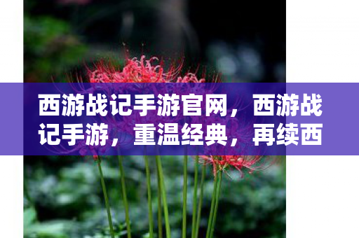 西游战记手游官网,西游战记手游,重温经典,再续西游奇缘 西游战记手游官网,西游战记手游,重温经典,再续西游奇缘