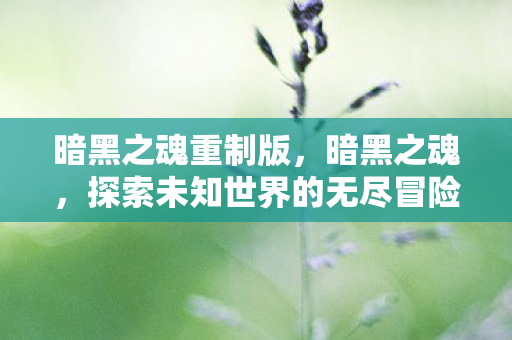 暗黑之魂重制版,暗黑之魂,探索未知世界的无尽冒险 暗黑之魂重制版,暗黑之魂,探索未知世界的无尽冒险