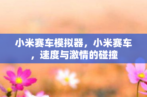 小米赛车模拟器，小米赛车，速度与激情的碰撞