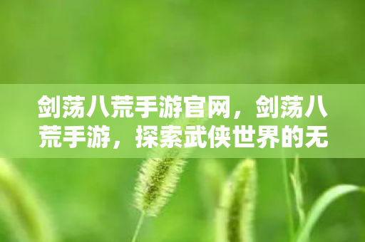 剑荡八荒手游官网,剑荡八荒手游,探索武侠世界的无尽魅力 剑荡八荒手游官网,剑荡八荒手游,探索武侠世界的无尽魅力