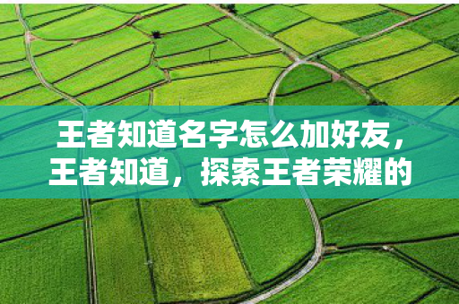 王者知道名字怎么加好友,王者知道,探索王者荣耀的多元魅力与社区文化 王者知道名字怎么加好友,王者知道,探索王者荣耀的多元魅力与社区文化