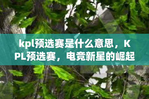 kpl预选赛是什么意思,KPL预选赛,电竞新星的崛起与挑战 kpl预选赛是什么意思,KPL预选赛,电竞新星的崛起与挑战