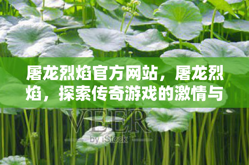 屠龙烈焰官方网站,屠龙烈焰,探索传奇游戏的激情与荣耀 屠龙烈焰官方网站,屠龙烈焰,探索传奇游戏的激情与荣耀