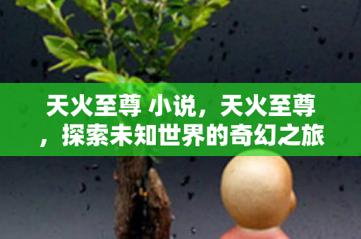 天火至尊 小说,天火至尊,探索未知世界的奇幻之旅 天火至尊 小说,天火至尊,探索未知世界的奇幻之旅