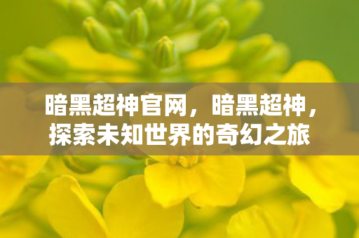 暗黑超神官网,暗黑超神,探索未知世界的奇幻之旅 暗黑超神官网,暗黑超神,探索未知世界的奇幻之旅