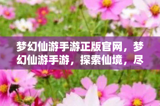 梦幻仙游手游正版官网,梦幻仙游手游,探索仙境,尽享无限乐趣 梦幻仙游手游正版官网,梦幻仙游手游,探索仙境,尽享无限乐趣