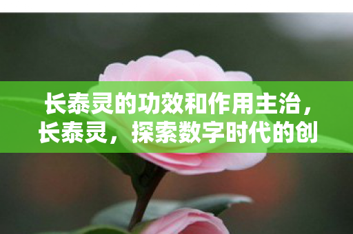 长泰灵的功效和作用主治,长泰灵,探索数字时代的创新服务 长泰灵的功效和作用主治,长泰灵,探索数字时代的创新服务