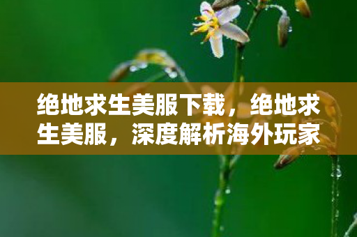 绝地求生美服下载,绝地求生美服,深度解析海外玩家的竞技体验 绝地求生美服下载,绝地求生美服,深度解析海外玩家的竞技体验