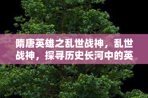 隋唐英雄之乱世战神,乱世战神,探寻历史长河中的英雄传奇 隋唐英雄之乱世战神,乱世战神,探寻历史长河中的英雄传奇