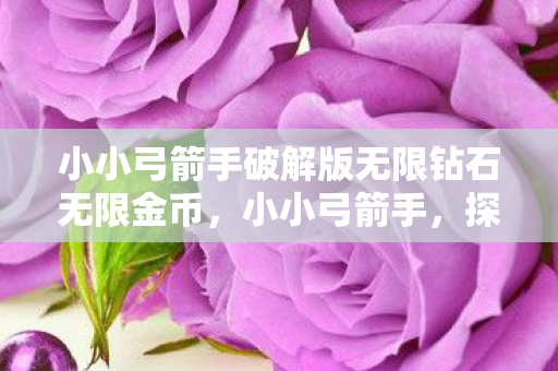 小小弓箭手破解版无限钻石无限金币,小小弓箭手,探索虚拟世界的奇妙之旅 小小弓箭手破解版无限钻石无限金币,小小弓箭手,探索虚拟世界的奇妙之旅