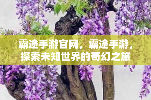 霸途手游官网,霸途手游,探索未知世界的奇幻之旅 霸途手游官网,霸途手游,探索未知世界的奇幻之旅