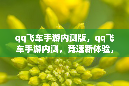 qq飞车手游内测版,qq飞车手游内测,竞速新体验,挑战新高度 qq飞车手游内测版,qq飞车手游内测,竞速新体验,挑战新高度