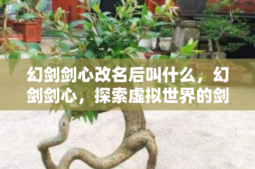 幻剑剑心改名后叫什么,幻剑剑心,探索虚拟世界的剑与心 幻剑剑心改名后叫什么,幻剑剑心,探索虚拟世界的剑与心