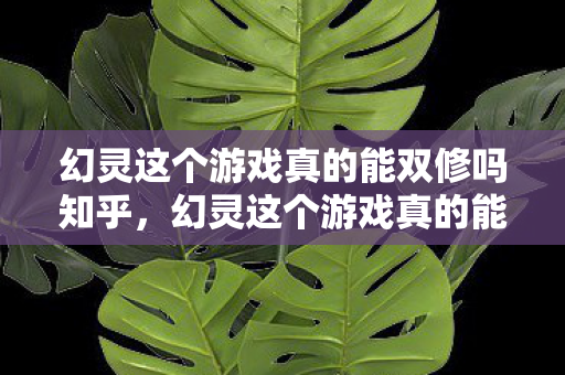 幻灵这个游戏真的能双修吗知乎,幻灵这个游戏真的能双修吗? 幻灵这个游戏真的能双修吗知乎,幻灵这个游戏真的能双修吗?