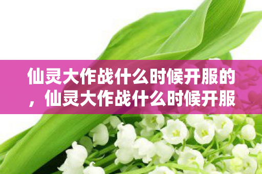 仙灵大作战什么时候开服的，仙灵大作战什么时候开服？揭秘游戏开服的神秘时刻