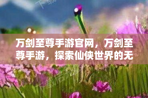 万剑至尊手游官网，万剑至尊手游，探索仙侠世界的无尽魅力