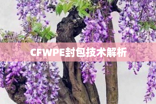 CFWPE封包技术解析 CFWPE封包技术解析