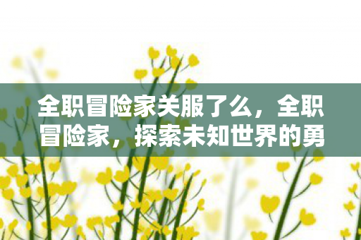 全职冒险家关服了么,全职冒险家,探索未知世界的勇者 全职冒险家关服了么,全职冒险家,探索未知世界的勇者