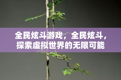 全民炫斗游戏,全民炫斗,探索虚拟世界的无限可能 全民炫斗游戏,全民炫斗,探索虚拟世界的无限可能