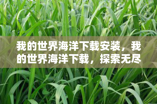我的世界海洋下载安装，我的世界海洋下载，探索无尽海洋，开启冒险之旅