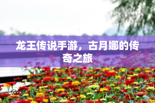 龙王传说手游,古月娜的传奇之旅 龙王传说手游,古月娜的传奇之旅