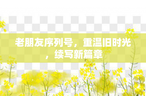 老朋友序列号，重温旧时光，续写新篇章