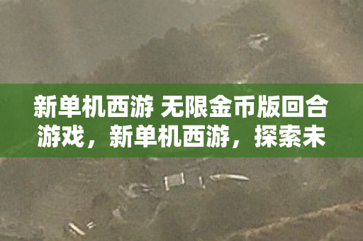 新单机西游 无限金币版回合游戏,新单机西游,探索未知世界的奇妙之旅 新单机西游 无限金币版回合游戏,新单机西游,探索未知世界的奇妙之旅