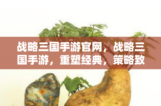 战略三国手游官网,战略三国手游,重塑经典,策略致胜 战略三国手游官网,战略三国手游,重塑经典,策略致胜