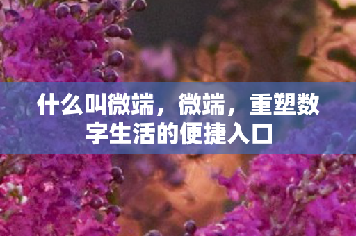 什么叫微端,微端,重塑数字生活的便捷入口 什么叫微端,微端,重塑数字生活的便捷入口