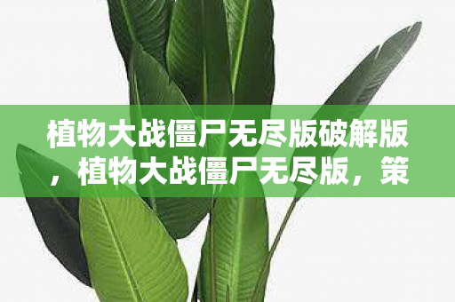 植物大战僵尸无尽版破解版，植物大战僵尸无尽版，策略与乐趣的完美结合