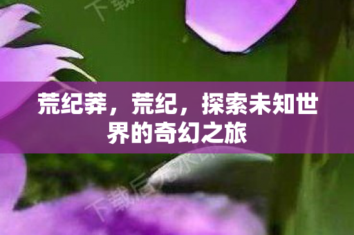 荒纪莽,荒纪,探索未知世界的奇幻之旅 荒纪莽,荒纪,探索未知世界的奇幻之旅
