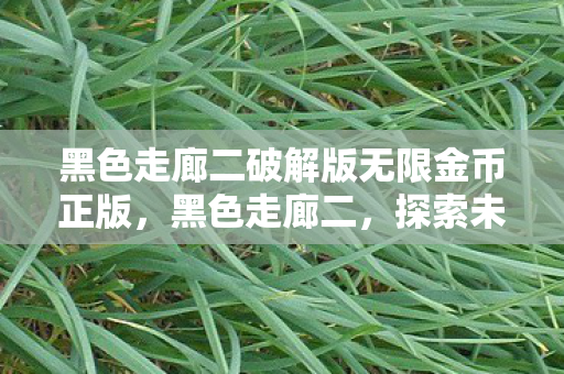 黑色走廊二破解版无限金币正版,黑色走廊二,探索未知的游戏世界与无限可能 黑色走廊二破解版无限金币正版,黑色走廊二,探索未知的游戏世界与无限可能
