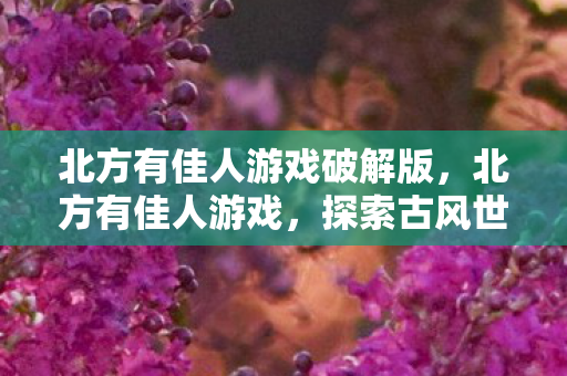 北方有佳人游戏破解版,北方有佳人游戏,探索古风世界的浪漫之旅 北方有佳人游戏破解版,北方有佳人游戏,探索古风世界的浪漫之旅