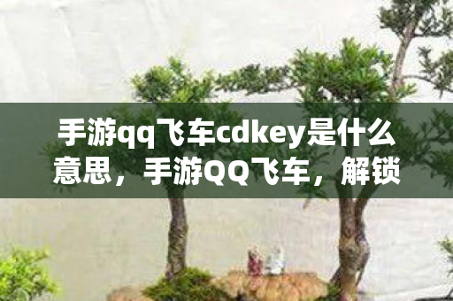 手游qq飞车cdkey是什么意思,手游QQ飞车,解锁无限可能的CDK秘籍 手游qq飞车cdkey是什么意思,手游QQ飞车,解锁无限可能的CDK秘籍