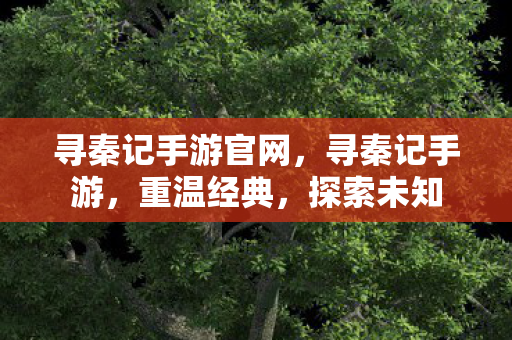 寻秦记手游官网,寻秦记手游,重温经典,探索未知 寻秦记手游官网,寻秦记手游,重温经典,探索未知