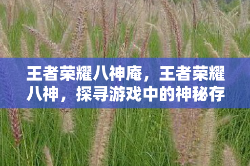 王者荣耀八神庵,王者荣耀八神,探寻游戏中的神秘存在 王者荣耀八神庵,王者荣耀八神,探寻游戏中的神秘存在