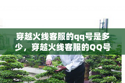 穿越火线客服的qq号是多少,穿越火线客服的QQ号,快速解决游戏问题的有效途径 穿越火线客服的qq号是多少,穿越火线客服的QQ号,快速解决游戏问题的有效途径