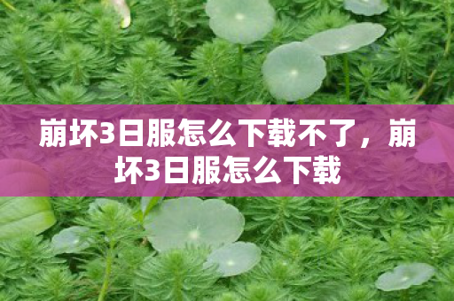 崩坏3日服怎么下载不了,崩坏3日服怎么下载 崩坏3日服怎么下载不了,崩坏3日服怎么下载