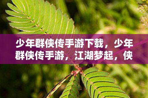 少年群侠传手游下载,少年群侠传手游,江湖梦起,侠影初现 少年群侠传手游下载,少年群侠传手游,江湖梦起,侠影初现
