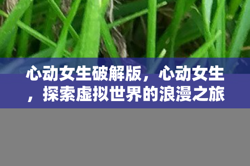 心动女生破解版，心动女生，探索虚拟世界的浪漫之旅