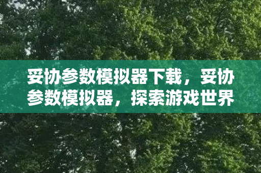妥协参数模拟器下载,妥协参数模拟器,探索游戏世界的另一种可能 妥协参数模拟器下载,妥协参数模拟器,探索游戏世界的另一种可能