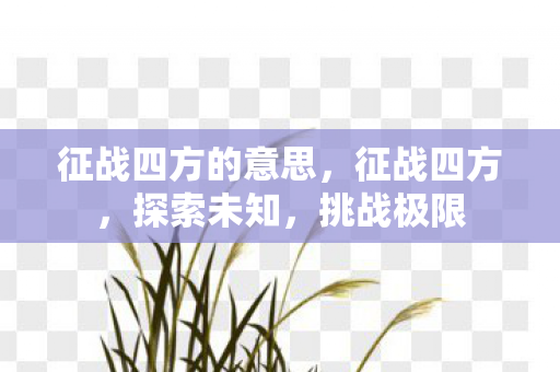 征战四方的意思,征战四方,探索未知,挑战极限 征战四方的意思,征战四方,探索未知,挑战极限