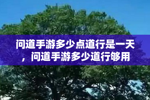 问道手游多少点道行是一天,问道手游多少道行够用 问道手游多少点道行是一天,问道手游多少道行够用