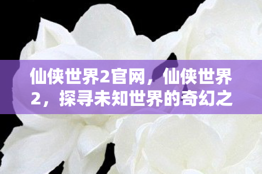 仙侠世界2官网,仙侠世界2,探寻未知世界的奇幻之旅 仙侠世界2官网,仙侠世界2,探寻未知世界的奇幻之旅