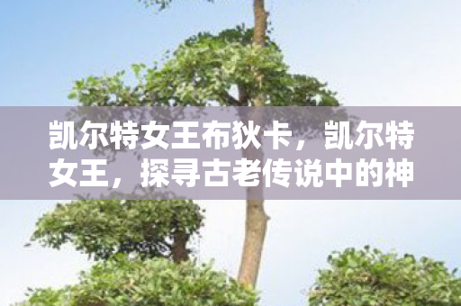 凯尔特女王布狄卡,凯尔特女王,探寻古老传说中的神秘女王 凯尔特女王布狄卡,凯尔特女王,探寻古老传说中的神秘女王