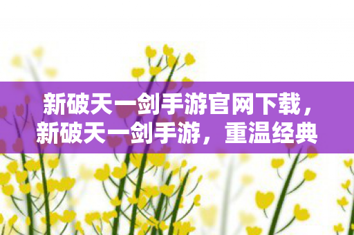新破天一剑手游官网下载,新破天一剑手游,重温经典,再续前缘 新破天一剑手游官网下载,新破天一剑手游,重温经典,再续前缘
