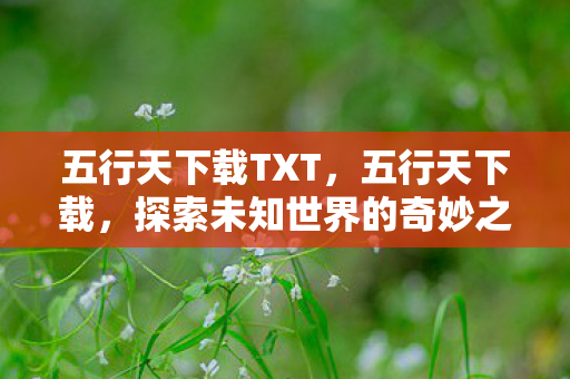 五行天下载TXT,五行天下载,探索未知世界的奇妙之旅 五行天下载TXT,五行天下载,探索未知世界的奇妙之旅