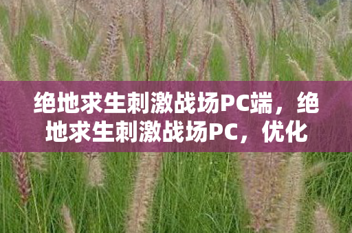绝地求生刺激战场PC端,绝地求生刺激战场PC,优化设置与战术策略的全面指南 绝地求生刺激战场PC端,绝地求生刺激战场PC,优化设置与战术策略的全面指南