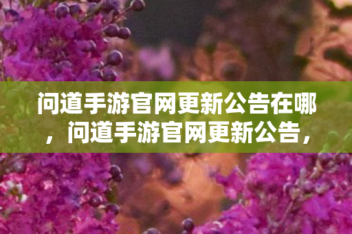 问道手游官网更新公告在哪,问道手游官网更新公告,全新版本,精彩纷呈 问道手游官网更新公告在哪,问道手游官网更新公告,全新版本,精彩纷呈